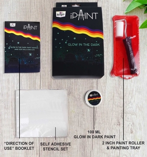 iPaint Glow in the Dark Kit